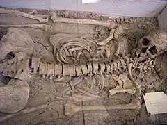 Enterramiento expuesto