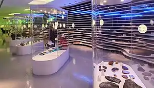 Museo de Historia Natural de Sintra