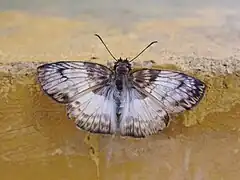 float left