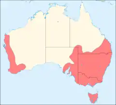 Distribución de la malvasía australiana