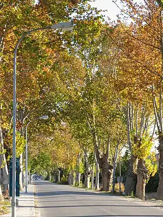 Fuente Vaqueros