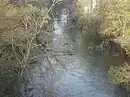 Río Tea