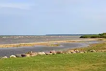 La costa en Mustvee