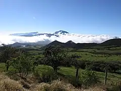 El pitón de las Nieves visto desde la Llanura de las Cafres