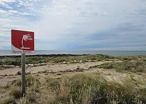Panorama de Playas Doradas