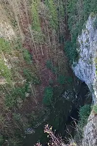 La vista al fondo del abismo del Puente Alto