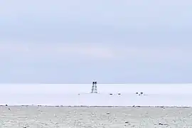 Estación polar rusa abandonada Izluchina (costa noreste de la isla Komsomolets; 81°N, 96°33’E).