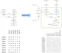 Stoichiometric matrix of the top of glycolsis