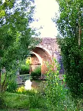 Vegetación de ribera y al fondo, uno de los arcos del puente de Cantillana.