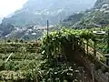 Vista de los alrededores de Ravello.