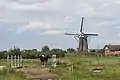 Rijpwetering, el molino: Lijkermolen no1
