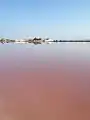 Vista de una de las charcas critalizadoras (las de cosecha), con las edificaciones salineras al fondo