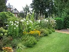 Bordura en el jardín botánico.