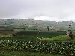 Cultivos en Siachoque.