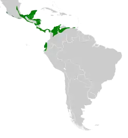 Distribución geográfica del trepatroncos oliváceo occidental.
