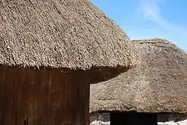 Detalle del tejado de paja de centeno de las pallozas.