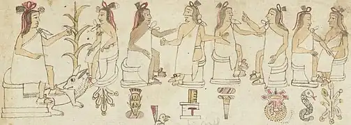 Escena citada.
