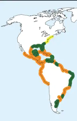 alt=Distribución de este taxón
* ██: Residente, nidificante.
* ██: Visitante estival, nidificante.
* ██: Visitante invernal, no nidificante.