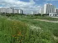 Trails along the Samcheon (river) - 2014.