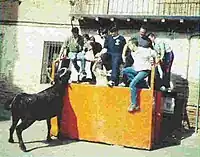 Vaquilla de las fiestas de Paniza