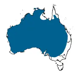 Mapa de distribución«Manorina (Myzantha) flavigula (Gould, 1840) Yellow-throated Miner». Atlas of Living Australia. Consultado el 10 de junio de 2017.