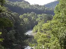 Vista de gorge de camino de bici