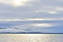 Bahía Zhuravlev,  ubicada en la costa oeste de la isla Komsomolets (80°44’N, 93°19‘E).