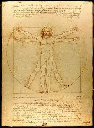 Proporción: el hombre de Vitruvio de Leonardo, c. 1490